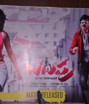 balupu-audio-launch-stills-16