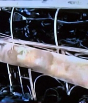 volvo-bus-fire-accident-pics-1