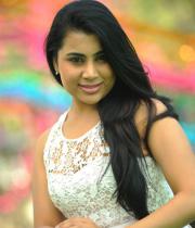 bhumika-chabria-hot-stills-07