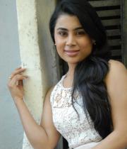 bhumika-chabria-hot-stills-21