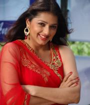 bhumika-chawla-latest-photo-gallery-09