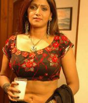 bhuvaneswari_spicy_navel_show-in_saree-10
