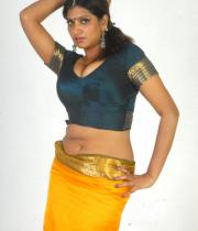 bhuvaneswari_spicy_navel_show-in_saree-11