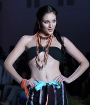 bolly-celebs-at-irfw-2013-day-3-photos-13