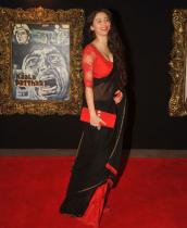 bolly-celebs-at-jab-tak-hai-jaan-premiere-show-photos-1500