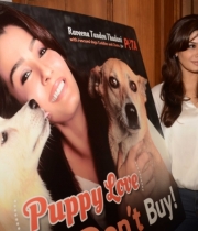 raveena-tandon-at-petas-dog-adoption-campaign-launch-clips-3