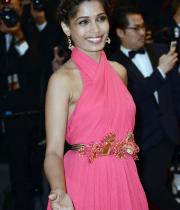 actress-freida-pinto-attends-the-opening-ceremony-and-the-great-gatsby-premiere130516113822