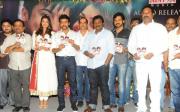 brothers-maatran-telugu-audio-release-photos-04