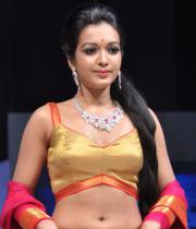 catherine-tresa-ramp-walk-photos-at-hyderabad-fashion-week-25