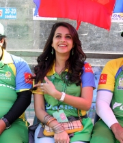 ccl-4-kerala-strikers-vs-telugu-warriors-match-photos-7