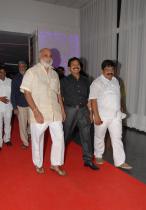Brahmanandam Son Marriage Pics ...TollywoodAndhra.in