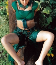 charmi-hot-photo-collections-27