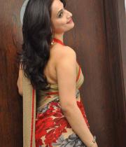 Chinmayi Ghatrazu Unseen Hot Saree Stills In Lovely Triple Platinum Disc Event Gallery