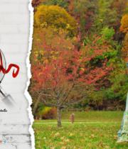 chinna-cinema-hot-wallpapers-11