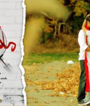 chinna-cinema-hot-wallpapers-15