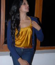 chukkalanti-ammayi-chakkanaina-abbayi-audio-launch-photos-2