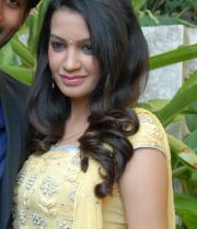 deeksha-panth-hot-stills-07