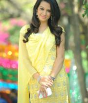 deeksha-panth-hot-stills-08