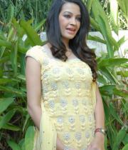 deeksha-panth-hot-stills-15