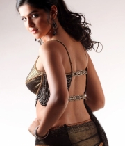 deeksha-seth-new-photo-gallery-14