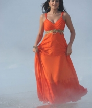 deeksha-seth-new-photo-gallery-18