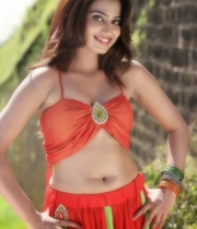 dimple-chopade-latest-hot-photos-3
