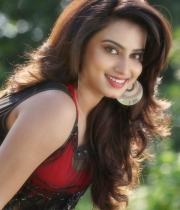 dimple-chopade-latest-hot-photos-5