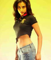 dimple-chopade-photos121376018891