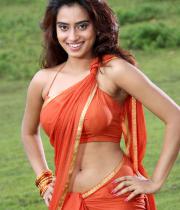 dimple-chopade-photos21376018890