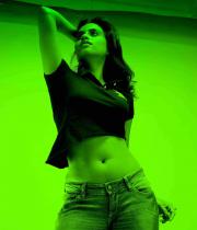 dimple-chopade-photos91376018891