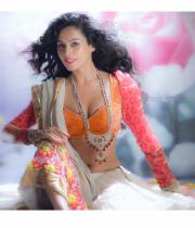 disha-pandey-latest-photo-shoot-2 disha-pandey-latest-photo-shoot-2