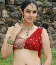 divya-hot-photo-gallery-16