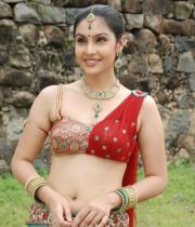 divya-hot-photo-gallery-4
