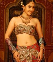 divya-hot-photo-stills-05