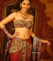 divya-hot-photo-stills-17