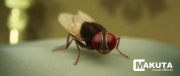 eega-visual-effects-making-10