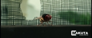 eega-visual-effects-making-23