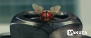 eega-visual-effects-making-33