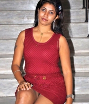 geethanjali-latest-hot-photos_10