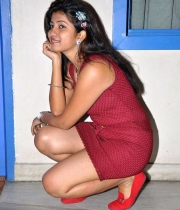 geethanjali-latest-hot-photos_16