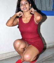 geethanjali-latest-hot-photos_18