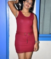 geethanjali-latest-hot-photos_9