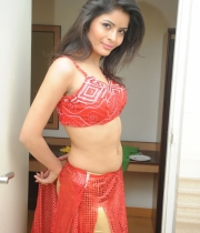 gehna-vashisht-hot-stills-at-fncc-new-year-celebrations-2014-102