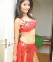 gehna-vashisht-hot-stills-at-fncc-new-year-celebrations-2014-107