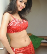 gehna-vashisht-hot-stills-at-fncc-new-year-celebrations-2014-109