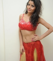 gehna-vashisht-hot-stills-at-fncc-new-year-celebrations-2014-17