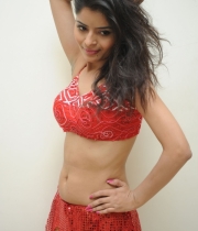 gehna-vashisht-hot-stills-at-fncc-new-year-celebrations-2014-87