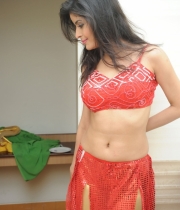 gehna-vashisht-hot-stills-at-fncc-new-year-celebrations-2014-92