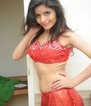 gehna-vashisht-hot-stills-at-fncc-new-year-celebrations-2014-94