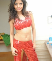 gehna-vashisht-hot-stills-at-fncc-new-year-celebrations-2014-98